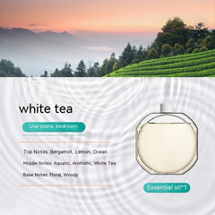 Difusor de aroma purificador de aire desodorante