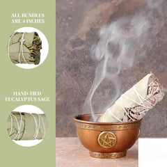 5Pcs 4 Inch Eucalyptus Sage Sticks, Floral Home Sage Cleansing Household Goods, Large Sage Incense Sticks Set Sage Repels Evil Spirits, Sage Home Blessing