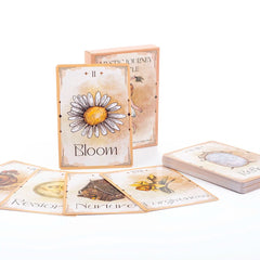 Cat Tarot A 78 Card Deck, English Version