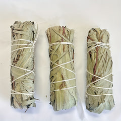 5Pcs 4 Inch Eucalyptus Sage Sticks, Floral Home Sage Cleansing Household Goods, Large Sage Incense Sticks Set Sage Repels Evil Spirits, Sage Home Blessing